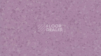 Линолеум Gerflor Mipolam Symbioz 6048 LAVENDER фото 1 | FLOORDEALER